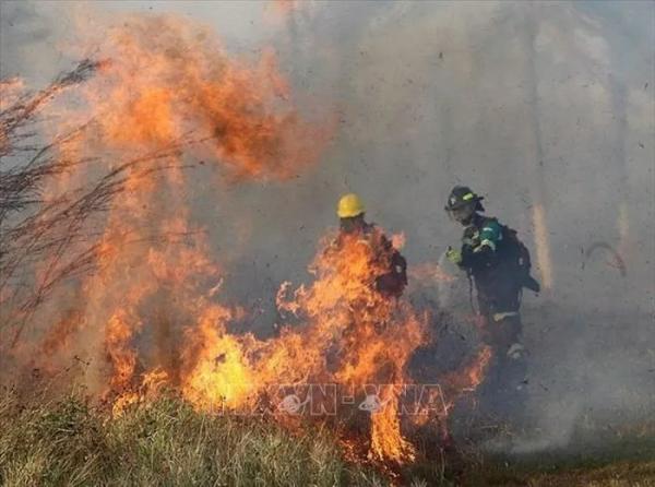 Cháy rừng hoành hành tại Bolivia