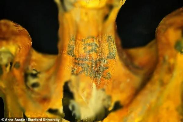 Giải mã hàng chục hình xăm độc trên xác ướp Ai Cập 3.000 tuổi