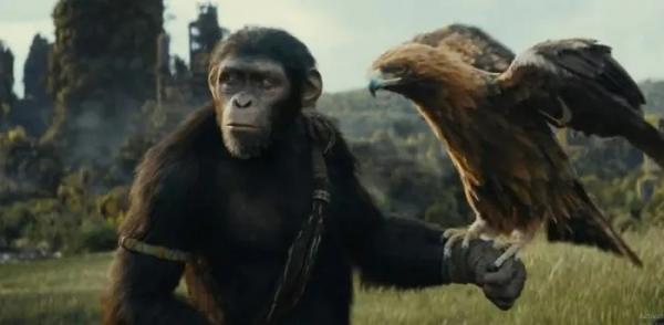 “Hành tinh khỉ: Vương quốc mới” thu về 22 triệu USD trong ngày khởi chiếu